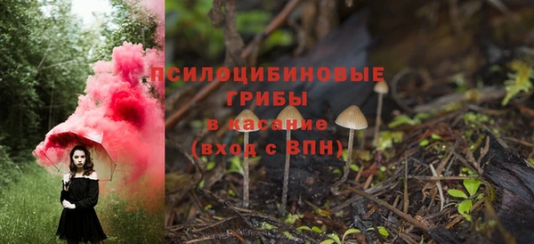 марки lsd Абаза