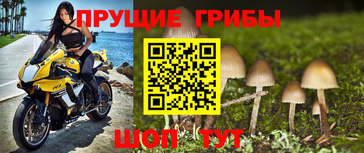 Галлюциногенные грибы Psilocybine cubensis  как найти закладки  Нефтеюганск  Вход с VPN 
